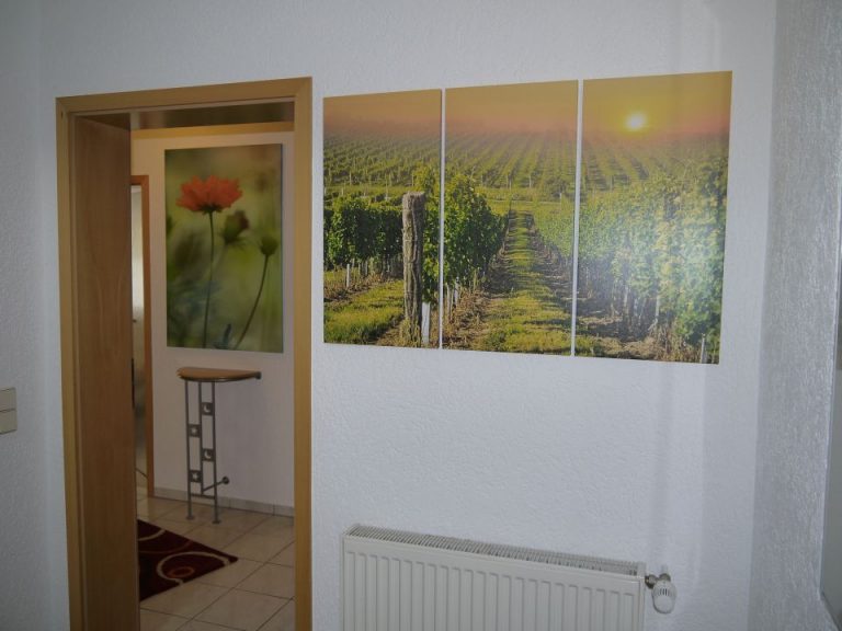 Flur mit Weinberg-Bild